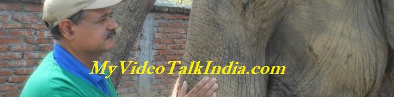 Video Pria India Menyelamatkan Gajah Dari Ancaman Perburuan Liar